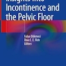 Insights Into Incontinence and the Pelvic Floor