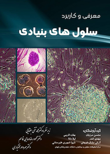 عکس معرفی و کاربرد سلول های بنیادی