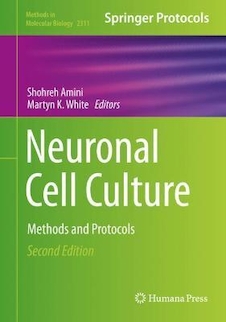 عکس Neuronal Cell Culture: Methods and Protocols (Methods in Molecular Biology, 2311) 2nd ed
