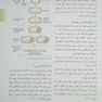 مقدمه ای بر کلون سازی ژن و آنالیز DNA ویرایش هشتم 2021