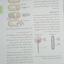 مقدمه ای بر کلون سازی ژن و آنالیز DNA ویرایش هشتم 2021