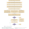 Symptom to Diagnosis An Evidence Based Guide