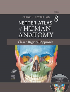 عکس Netter Atlas of HUMAN ANATOMY 8e + Appendix (گلاسه) 2022