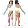 Netter Atlas of HUMAN ANATOMY 8e 2023 (گلاسه)
