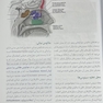 دستگاه تنفس (آناتومی، بافت، جنین، فیزیولوژی)