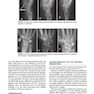 Radiographic Image Analysis