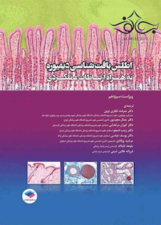 عکس اطلس بافت شناسی دیفیوره به همراه ارتباطات عملکردی