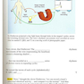EKG Rapid Interpretation of EKG
