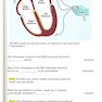 EKG Rapid Interpretation of EKG