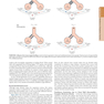 HARRISONS PRINCIPLES OF INTERNAL MEDICINE Part