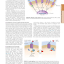 HARRISONS PRINCIPLES OF INTERNAL MEDICINE Part Endocrinology