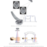 CT and MRI of the Whole Body, 2-Volume Set