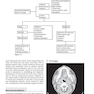 Clinical Scenarios in Surgical Oncology