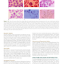 Williams Hematology: The Red Cell and Its Diseases