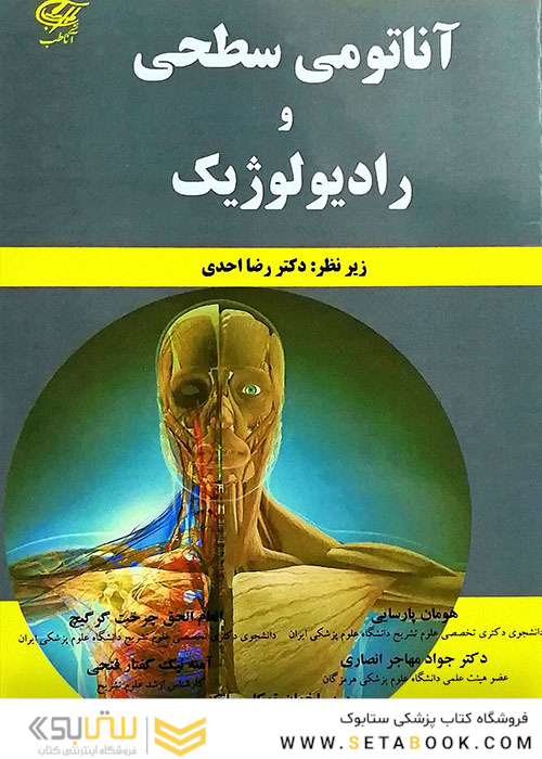 آناتومی سطحی و رادیولوژیک
