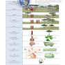 Human Biology, 15th Edition2017 زیست شناسی انسانی