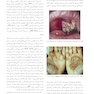 بیماری های دهان (دهان پزشکی) برکت 2021 جلد اول