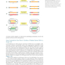 Molecular Biology of the Cell