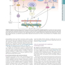 HARRISONS PRINCIPLES OF INTERNAL MEDICINE Part Disorders oF the cardiovascular System