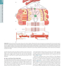 HARRISONS PRINCIPLES OF INTERNAL MEDICINE Part Disorders oF the cardiovascular System