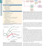 HARRISONS PRINCIPLES OF INTERNAL MEDICINE Part Disorders oF the cardiovascular System