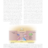 بی حسی موضعی مالامد 2020