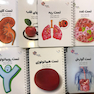 تست داخلی دکتر مجتبی کرمی 5 جلدی Think - Learn – 1399