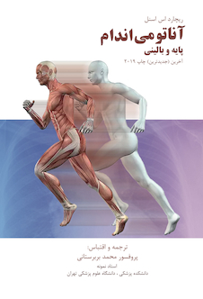 عکس آناتومی اندام پایه و بالینی 2019