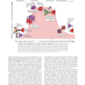 Cellular and Molecular Immunology 9th Edition 2018