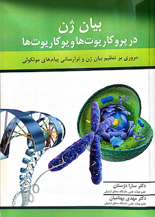 عکس باکیولو ویروس ها و سلول های حشرات ابزاری توانمند در بیان ژن