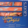 آناتومی گری اندام  جلد 2