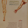کتاب آناتومی اندام ها