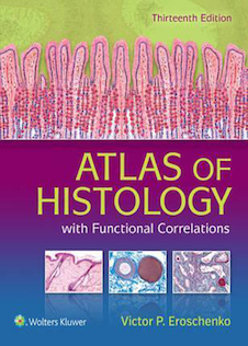 عکس Atlas of Histology with Functional Correlations 2017