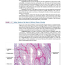 Atlas of Histology with Functional Correlations 2017