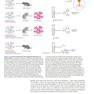 Genomes 4