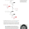 Genomes 4