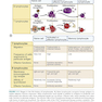 کتاب Basic Immunology: Functions and Disorders of the Immune System