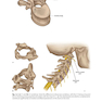Physical Examination of the Spine 2nd Edicion
