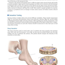 Physical Examination of the Spine 2nd Edicion