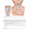Physical Examination of the Spine 2nd Edicion