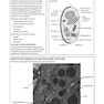 کتاب IB Biology Study Guide Oxford IB Diploma