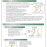 کتاب A2-Level Biology OCR Complete Revision - Practice