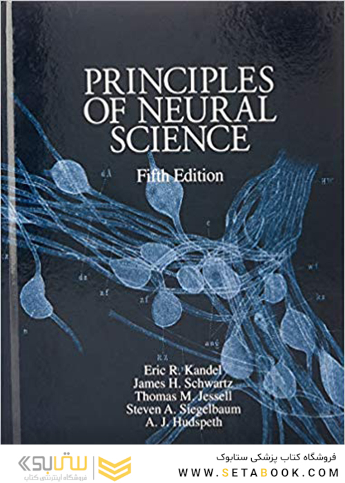 Principles of Neural Science