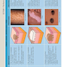 ضروریات پوستی بولونیا Dermatology Essentials 2014