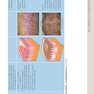 ضروریات پوستی بولونیا Dermatology Essentials 2014