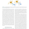 Nutrition and Lifestyle in Neurological Autoimmune Diseases : Multiple Sclerosis