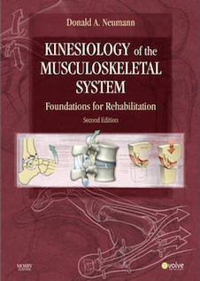 عکس Kinesiology of the Musculoskeletal System : Foundations for Rehabilitation
