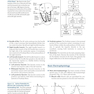 Basic and Bedside Electrocardiography 1st Edicion 2009