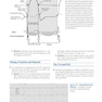 Basic and Bedside Electrocardiography 1st Edicion 2009