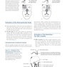 Basic and Bedside Electrocardiography 1st Edicion 2009